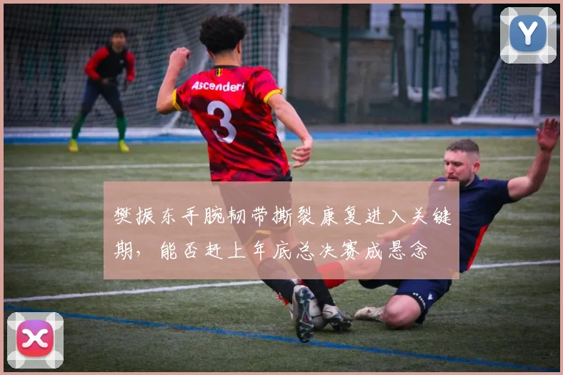 樊振东手腕韧带撕裂康复进入关键期，能否赶上年底总决赛成悬念
